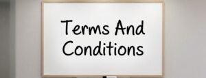 NoodleMagazine Terms and Conditions
