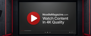 NoodleMagazine.com online video entertainment platform