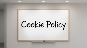 Noodle Magazine Cookie Policy