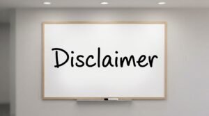 Noodle Magazine Disclaimer Page